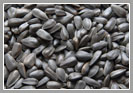 Black  Sunflower Seeds